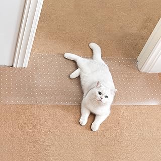 Uross Protector Transparent Plastic Scratching